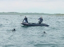 Ron Newcombe and Harvey Morash supervise divers from Harvey's Zodiac off Hay Island, Scatarie Island.