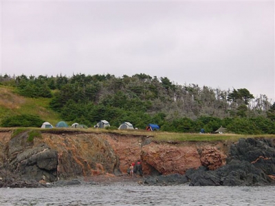 One of our typical expedition base camps set up in the field just above the Money Rocks and just below the Governors house in Atlantic Cove.